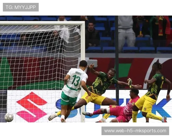 非洲杯球队备战节奏扎实，阵容磨合顺利推进