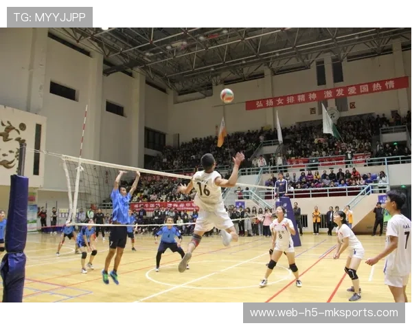 女子联赛发展：商业赞助提升女子篮球职业化进程，女子篮球联盟