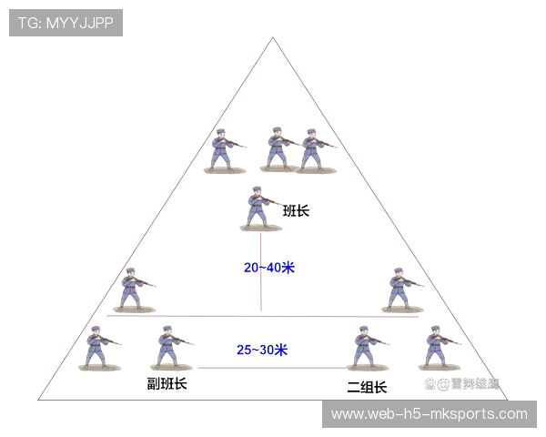 战术体系稳定性评估