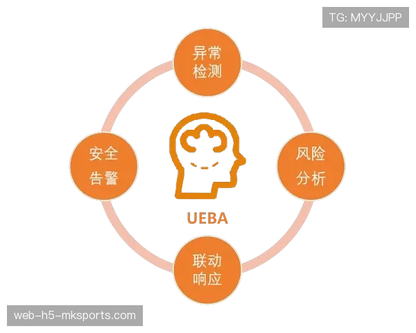 防守体系分析：运行稳定
