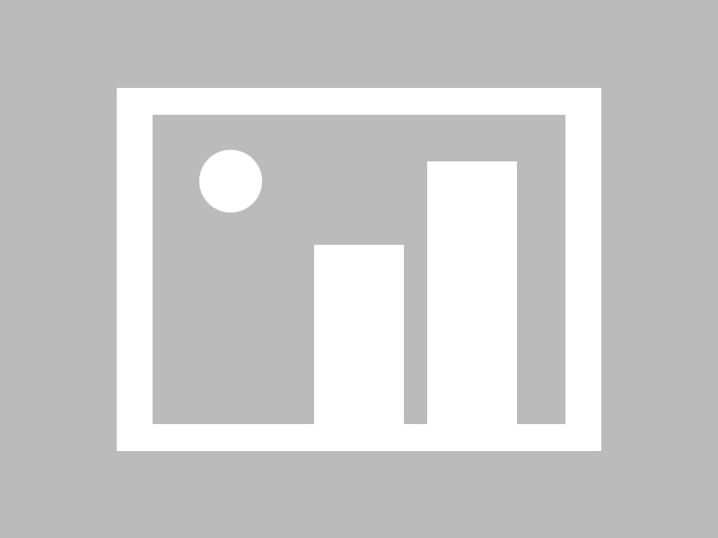 mk体育在线-自由泳配速策略数据分析报告，自由泳速度记录